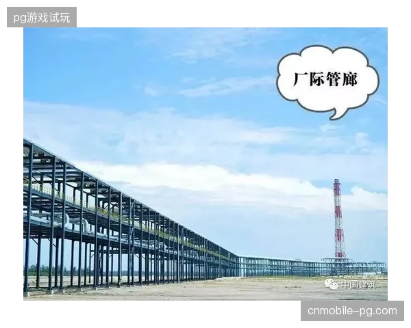体育版权内容运营正从单体播控转向跨区域协同交付模式